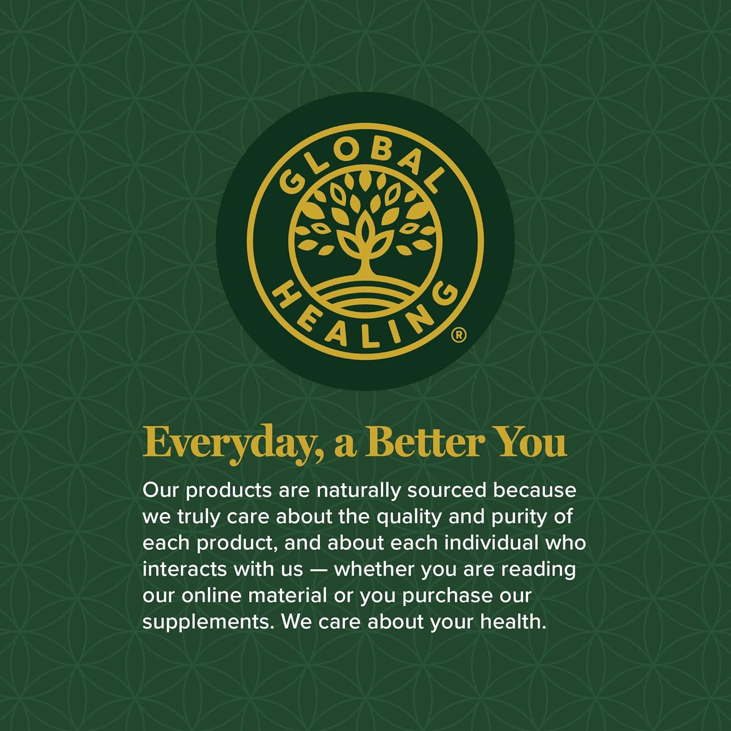 Global Healing - Organic Vitamin B12 5000 MCG Sublingual Liquid - Methylcobalamin, Hydroxo Blend & More - Methylated Drops for Adults - Vegan, Non-Gmo, VIT B12, Vitamins Supplement (2 Oz)